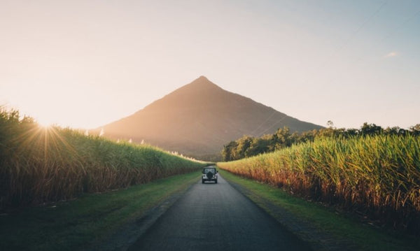 Best Fall Activities To Do With Your Jeep