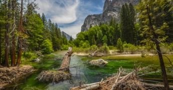 Off-Roading in California: Best Areas to See