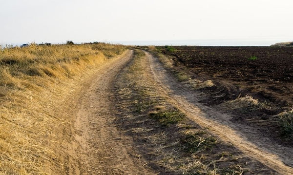 The Best Off-Roading Trails in California