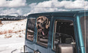 Large dog hanging out of a Jeep Wrangler window in a snowy mountain landscape, enjoying an open-air adventure.